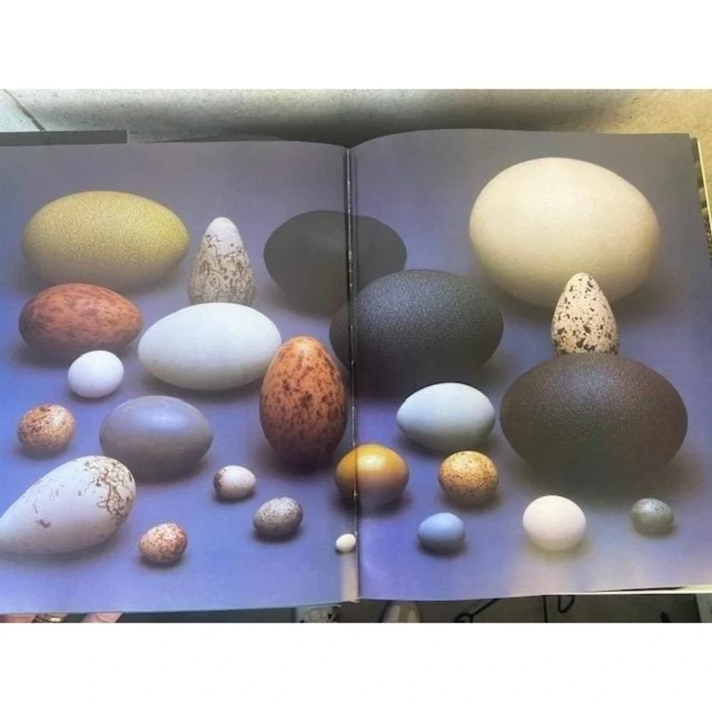 The National Museum of Natural History Smithsonian Philip Kopper Hardcover Book